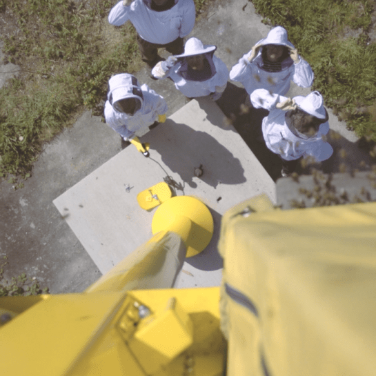 sky-hive-solar_square